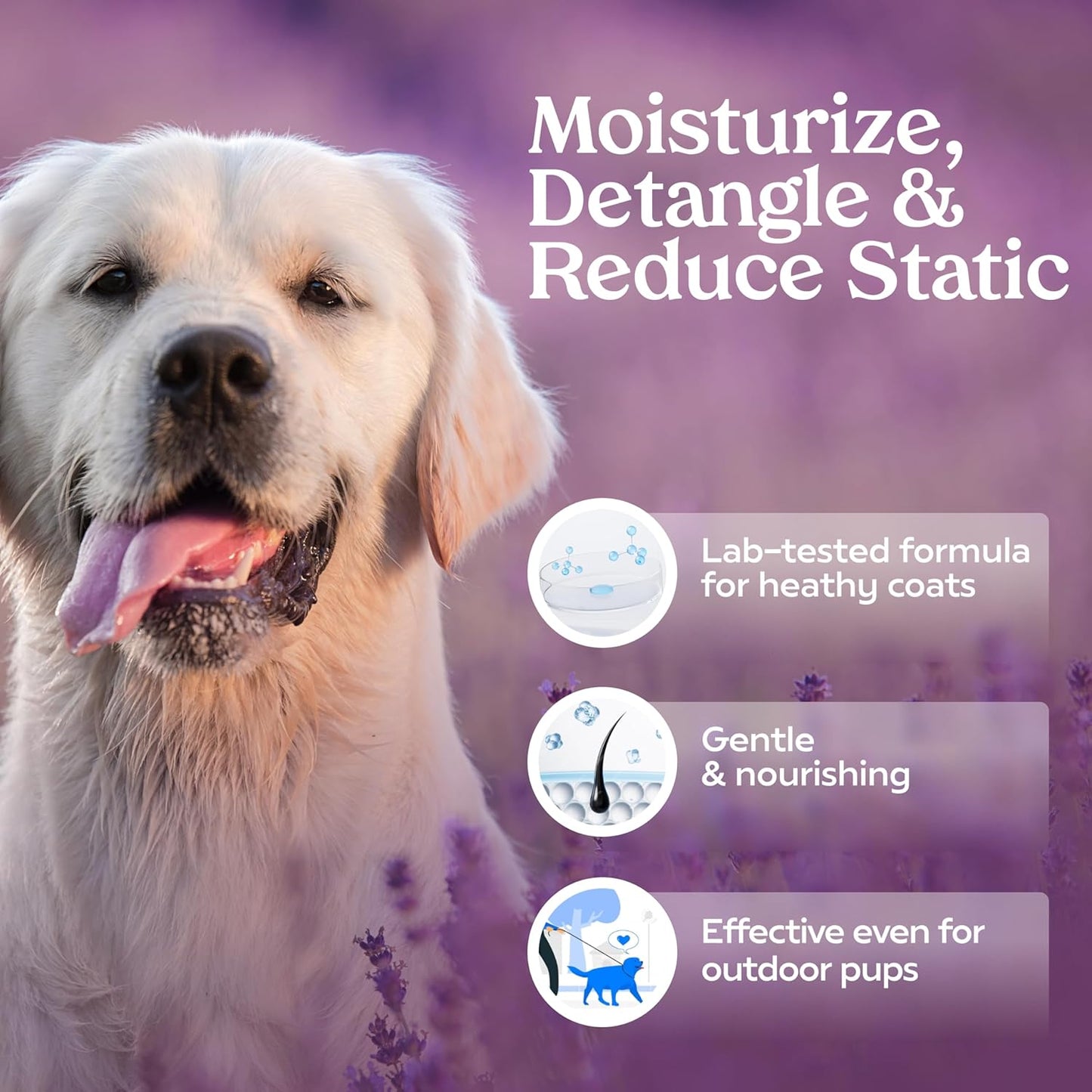 PAWFUME Premium Grooming Spray Dog Spray Deodorizer Perfume for Dogs - Dog Cologne Spray Long Lasting Dog Sprays - Dog Perfume Spray Long Lasting after Bath- Dog Deodorizing Spray (Lavender)