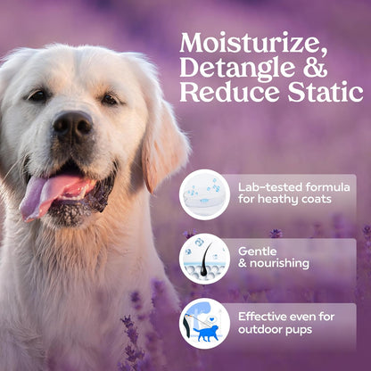PAWFUME Premium Grooming Spray Dog Spray Deodorizer Perfume for Dogs - Dog Cologne Spray Long Lasting Dog Sprays - Dog Perfume Spray Long Lasting after Bath- Dog Deodorizing Spray (Lavender)