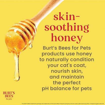 Cat Natural Waterless Shampoo with Apple and Honey | Cat Waterless Shampoo Spray | Easy to Use Cat Dry Shampoo for Fresh Skin and Fur without a Bath | Made in the USA, 10 Oz
